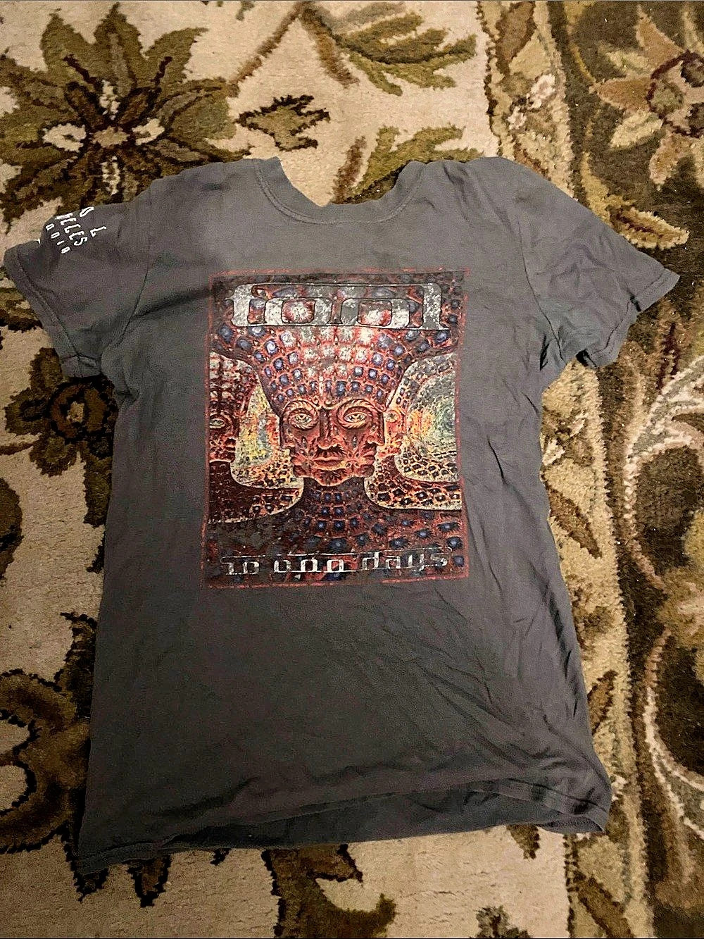 Tool 10,000 Days Tour T-Shirt Graphic Gray